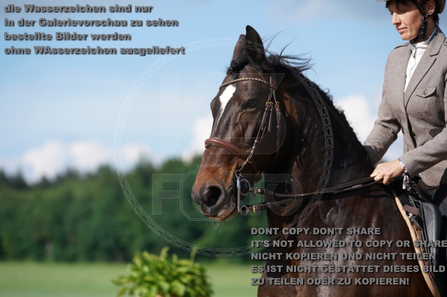 s_K3F04988.JPG